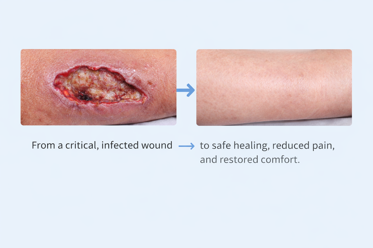 chatgpt image feb 22, 2026, 12 43 50 am